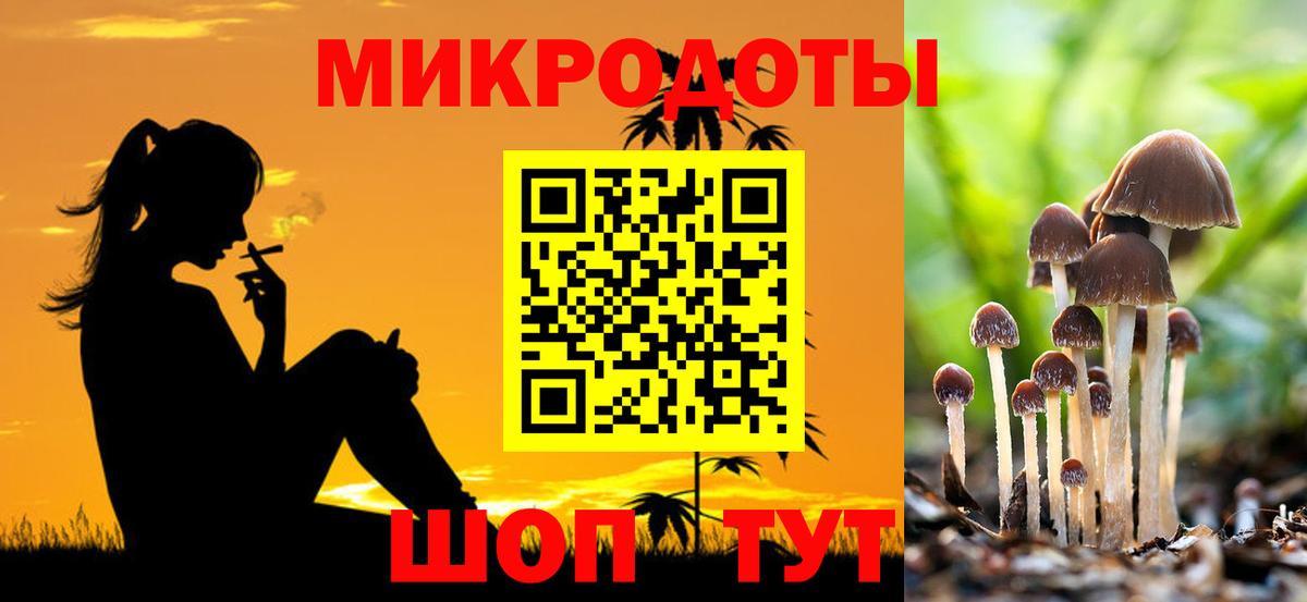 Балашиха  Псилоцибиновые грибы GOLDEN TEACHER  Вход с VPN  Псилоцибиновые грибы ЛСД 
